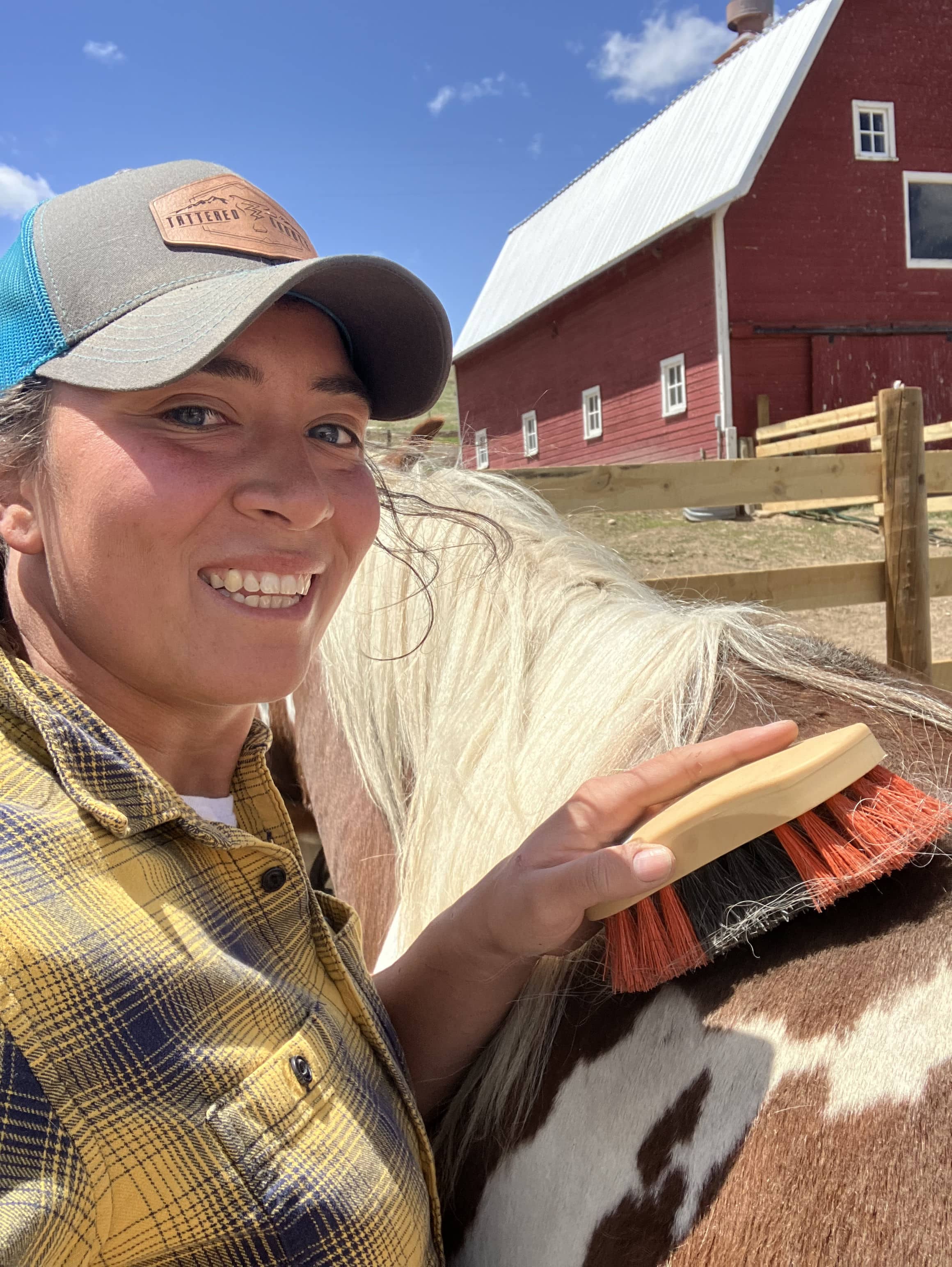 Complete Guide to Basic Horse Grooming