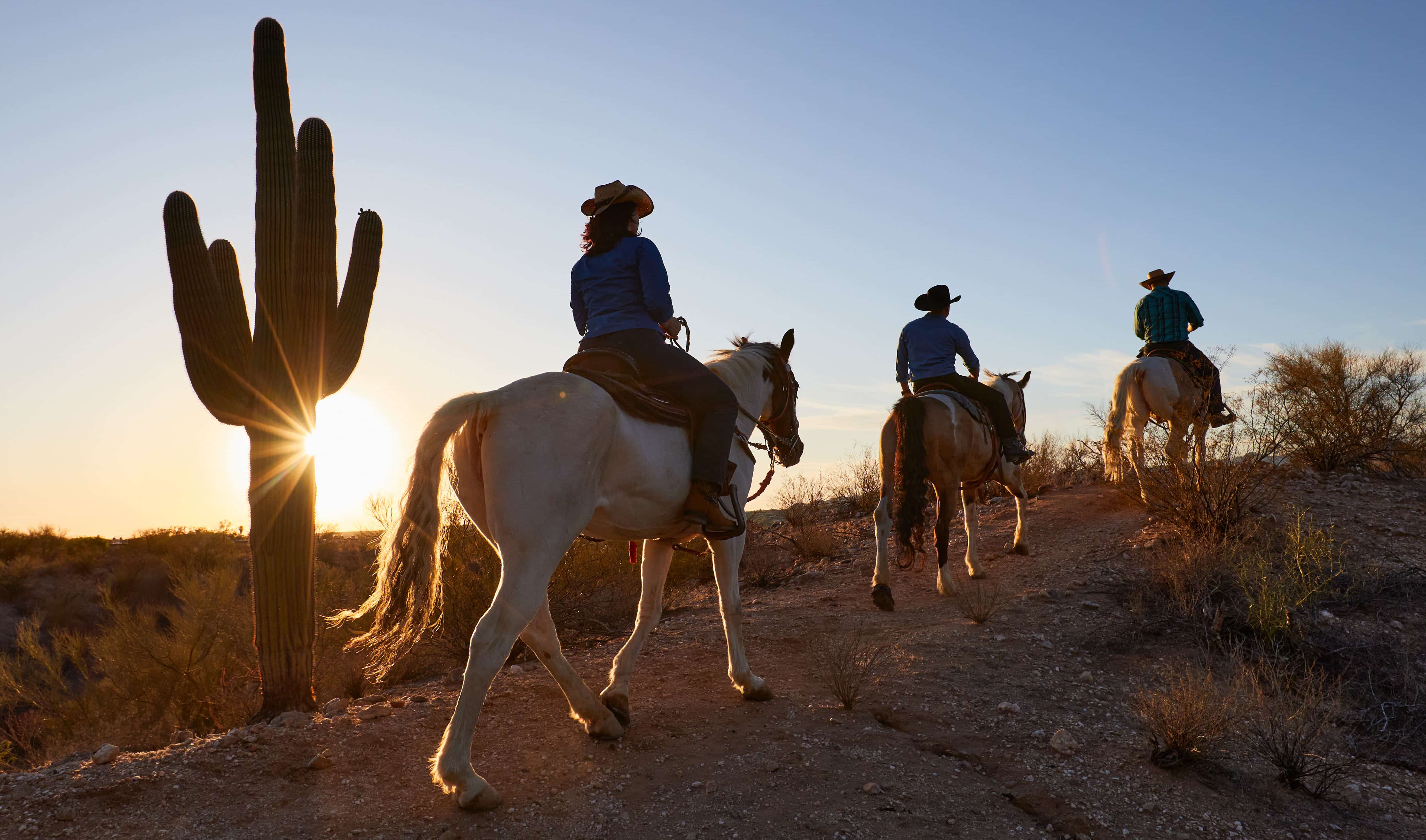horses and riders in tucson, Arizona