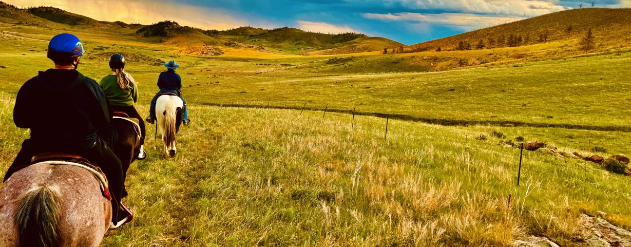 three horseback riders head into a meadow