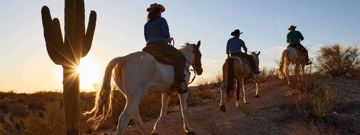 three people on horseback ride beside a saguaro cactus